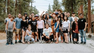 group of people taking photo near brown wooden tree