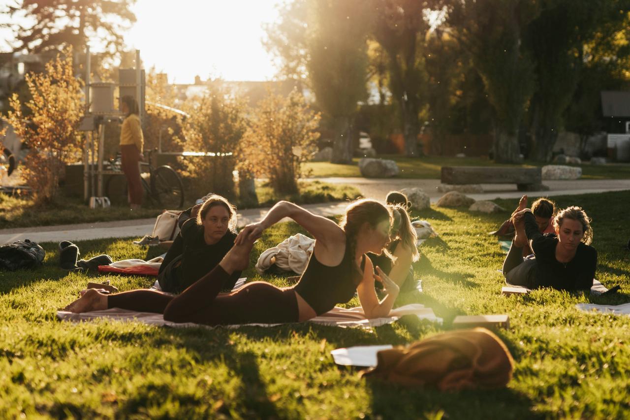 a group of people sitting on top of a lush green field